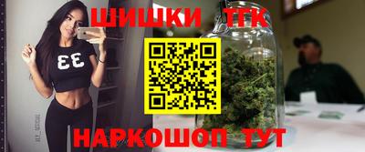 тгк Будённовск