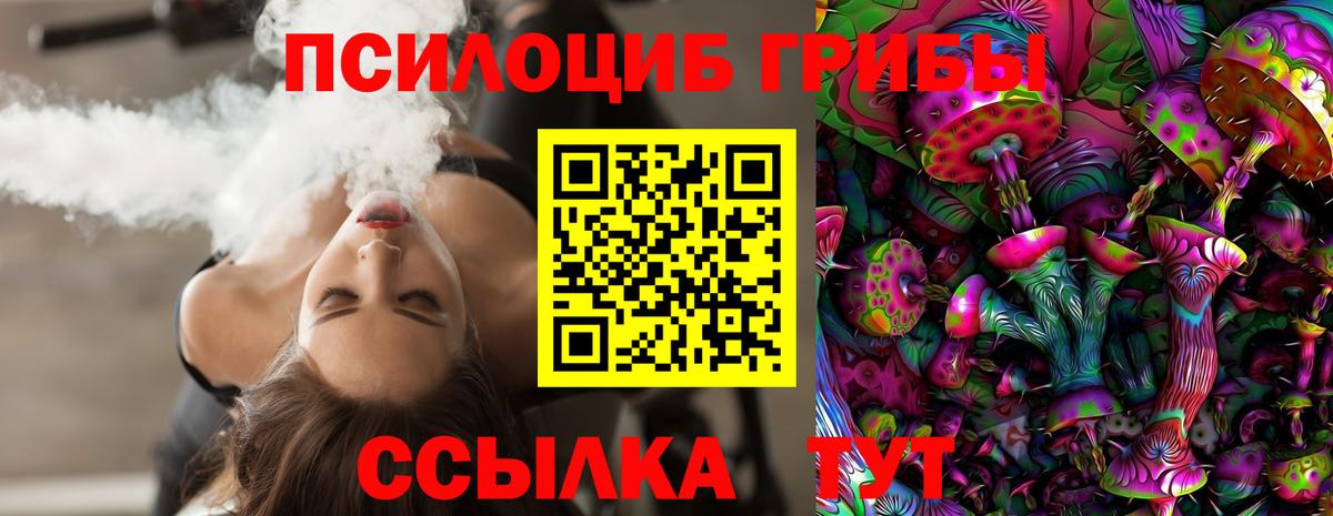 Галлюциногенные грибы мицелий  Вход с VPN  Ставрополь  Псилоцибиновые грибы прущие грибы 