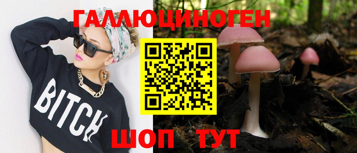 Псилоцибиновые грибы мухоморы Ставрополь