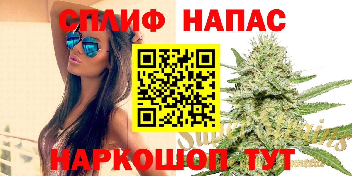 Каннабис OG Kush  МАРИХУАНА планчик  Вход с VPN  Ставрополь  МАРИХУАНА OG Kush  Каннабис тримм 